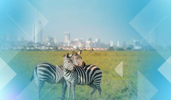 VR-Reise-Afrika-Nairobi